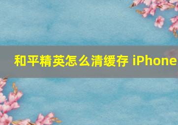 和平精英怎么清缓存 iPhone